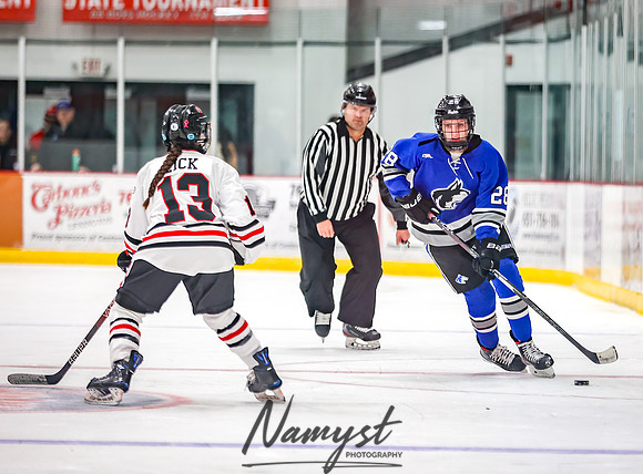 Centennial vs Owatonna JV Hockey 50