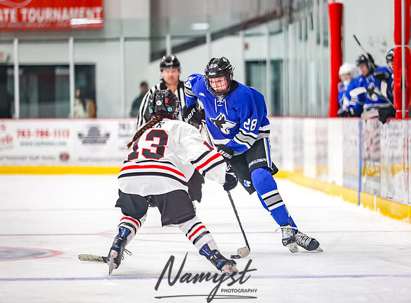 Centennial vs Owatonna JV Hockey 54