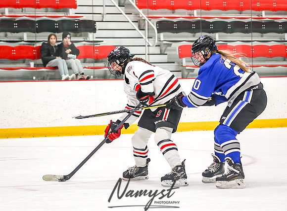 Centennial vs Owatonna JV Hockey 80