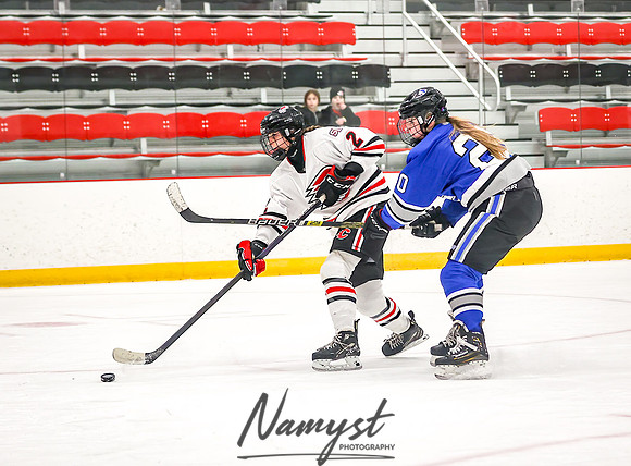 Centennial vs Owatonna JV Hockey 81