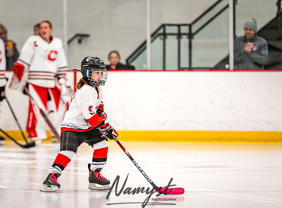 Centennial vs Owatonna Varsity Hockey 12