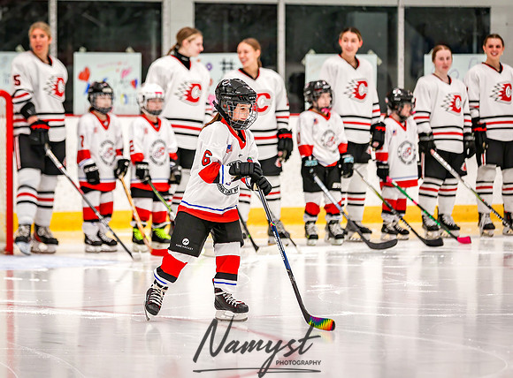 Centennial vs Owatonna Varsity Hockey 14