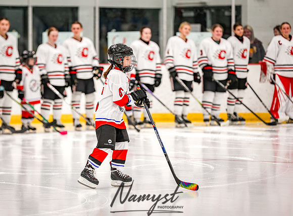 Centennial vs Owatonna Varsity Hockey 15