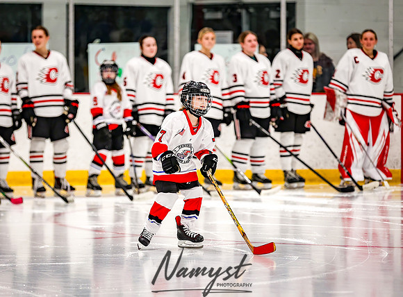 Centennial vs Owatonna Varsity Hockey 16