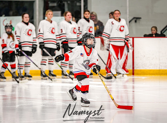 Centennial vs Owatonna Varsity Hockey 17