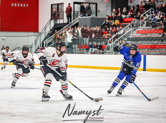 Centennial vs Owatonna Varsity Hockey 222