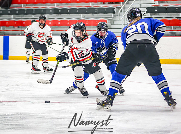 Centennial vs Owatonna Varsity Hockey 225