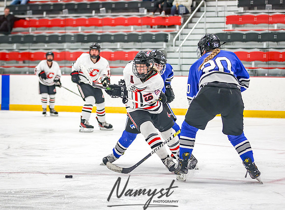 Centennial vs Owatonna Varsity Hockey 226