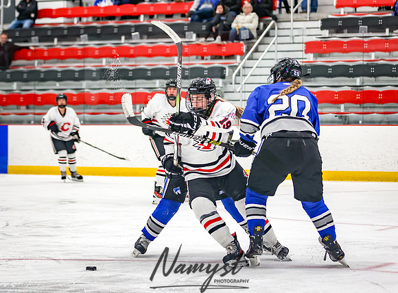 Centennial vs Owatonna Varsity Hockey 227
