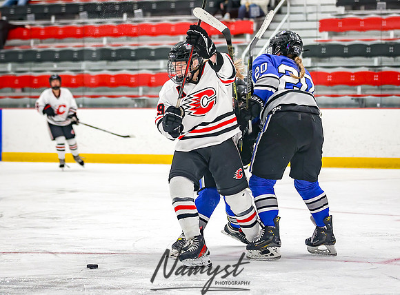 Centennial vs Owatonna Varsity Hockey 228