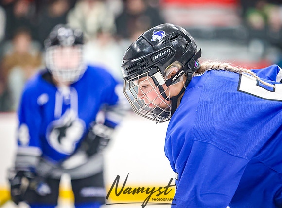 Centennial vs Owatonna Varsity Hockey 234