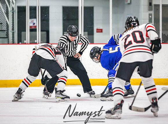 Centennial vs Owatonna Varsity Hockey 248