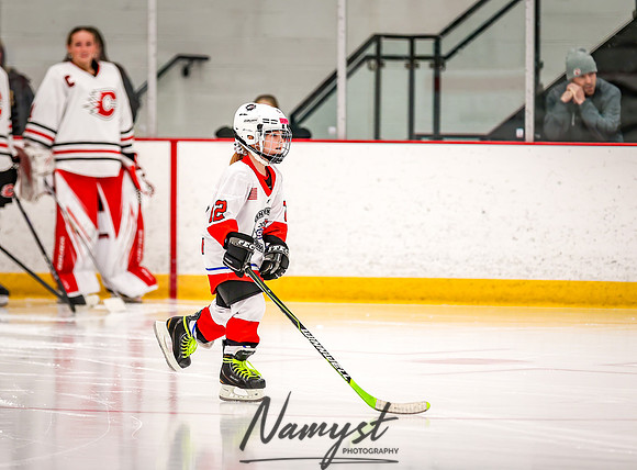 Centennial vs Owatonna Varsity Hockey 26