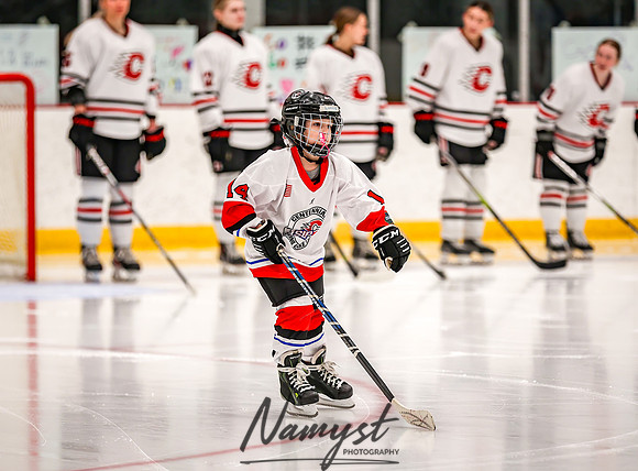 Centennial vs Owatonna Varsity Hockey 28