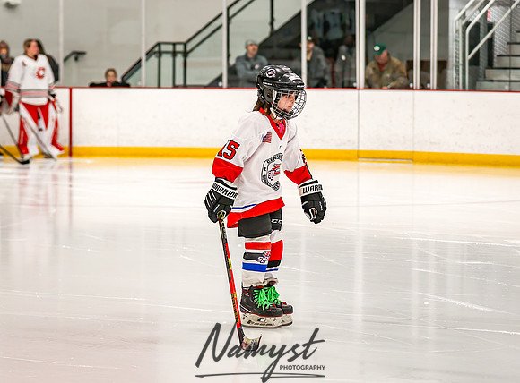 Centennial vs Owatonna Varsity Hockey 30