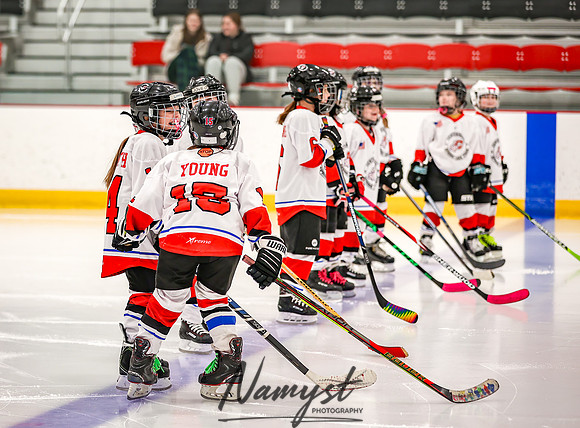 Centennial vs Owatonna Varsity Hockey 31