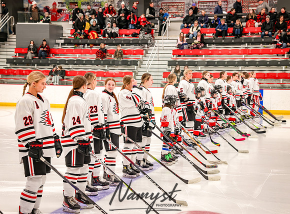 Centennial vs Owatonna Varsity Hockey 35