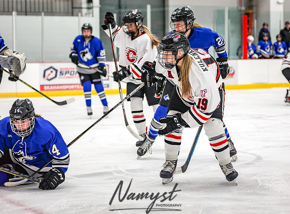 Centennial vs Owatonna Varsity Hockey 40