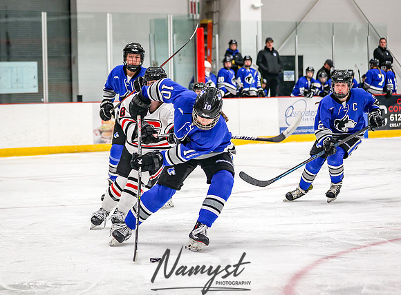 Centennial vs Owatonna Varsity Hockey 46