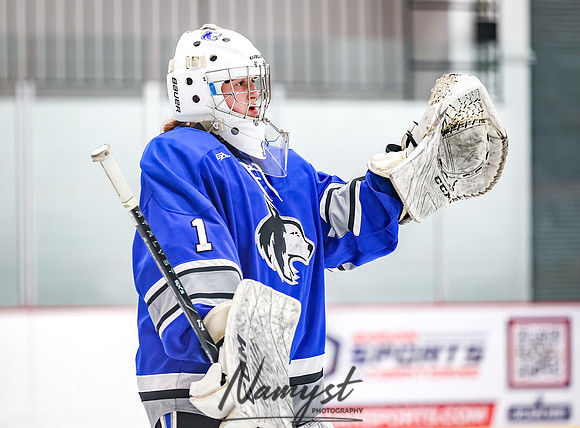 Centennial vs Owatonna Varsity Hockey 64