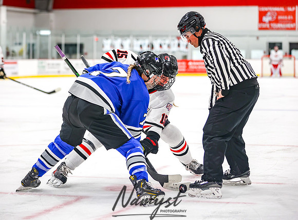 Centennial vs Owatonna Varsity Hockey 80
