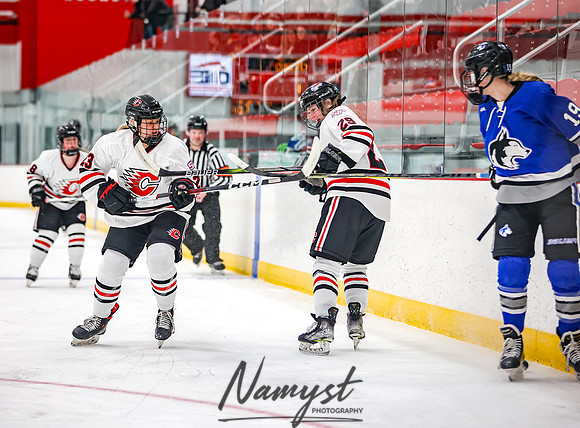 Centennial vs Owatonna Varsity Hockey 88