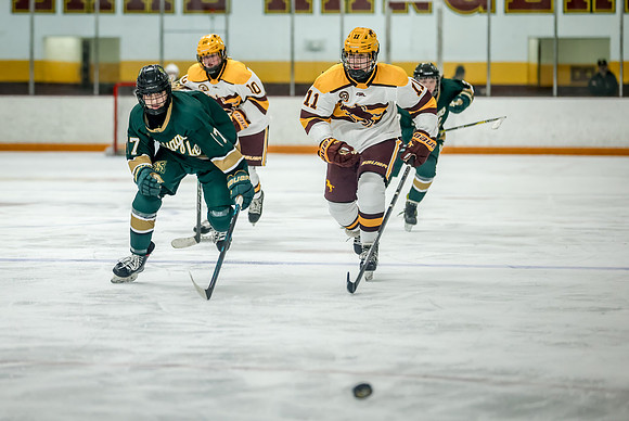 Chisago vs Forest Lake JV Hockey 199