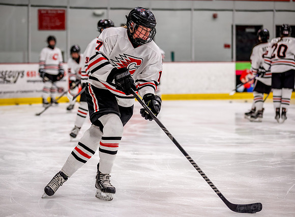 Centennial vs Holy Angels JV Hockey 10