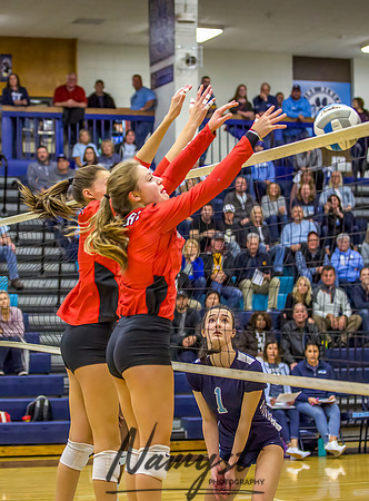 Centennial at Blaine Volleyball Game 114