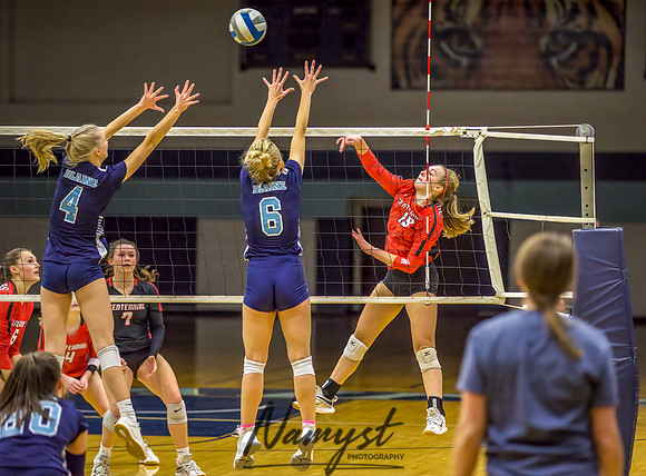 Centennial at Blaine Volleyball Game 156