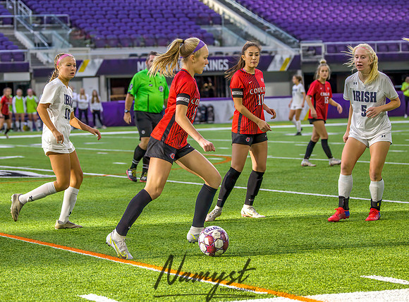 Centennial vs Rosemount Gilrs Soccer Semifinal Game 099