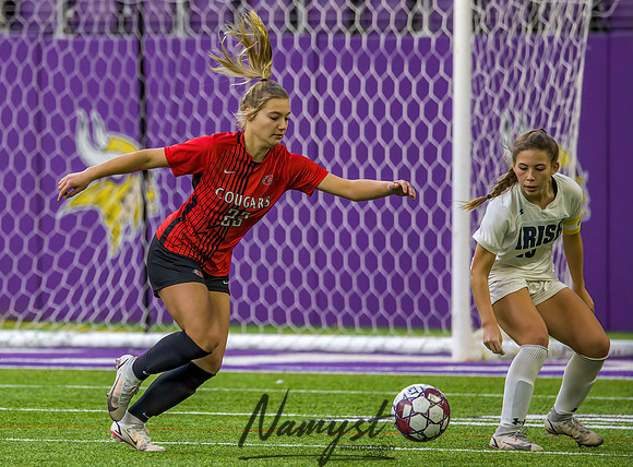 Centennial vs Rosemount Gilrs Soccer Semifinal Game 163
