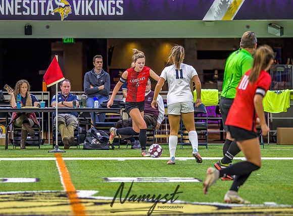 Centennial vs Rosemount Gilrs Soccer Semifinal Game 188