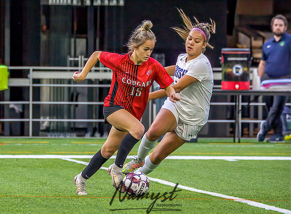 Centennial vs Rosemount Gilrs Soccer Semifinal Game 190
