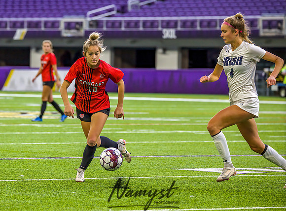 Centennial vs Rosemount Gilrs Soccer Semifinal Game 193