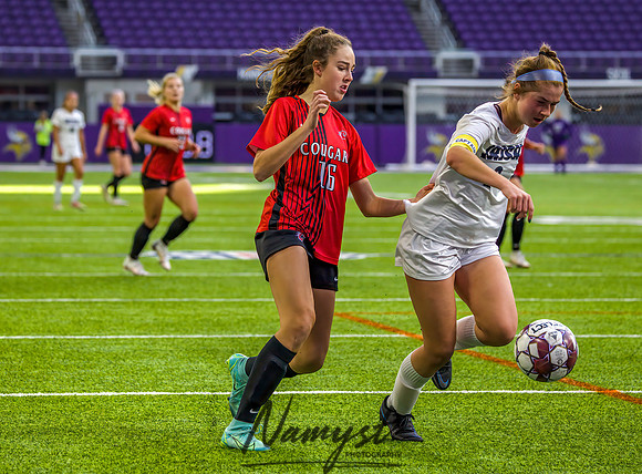 Centennial vs Rosemount Gilrs Soccer Semifinal Game 211