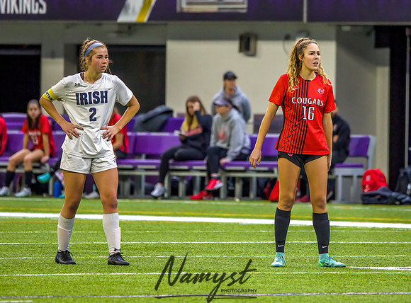Centennial vs Rosemount Gilrs Soccer Semifinal Game 228