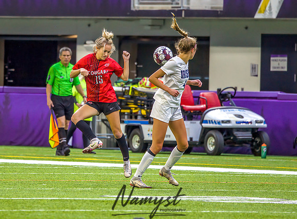 Centennial vs Rosemount Gilrs Soccer Semifinal Game 229