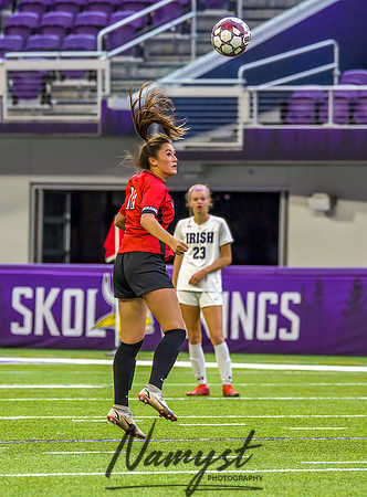 Centennial vs Rosemount Gilrs Soccer Semifinal Game 264-2