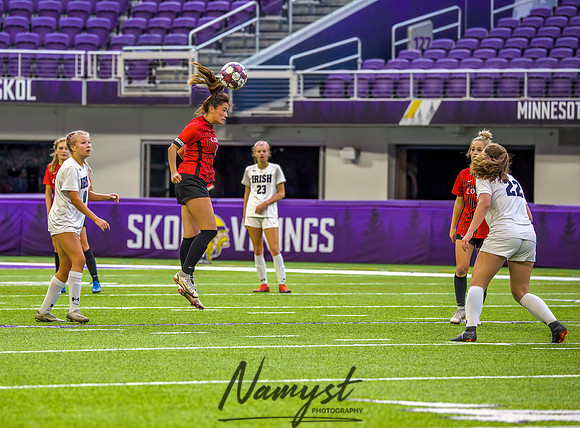 Centennial vs Rosemount Gilrs Soccer Semifinal Game 263