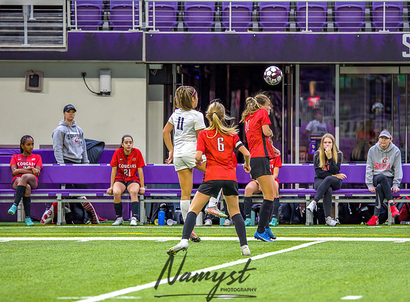 Centennial vs Rosemount Gilrs Soccer Semifinal Game 292