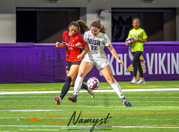 Centennial vs Rosemount Gilrs Soccer Semifinal Game 309