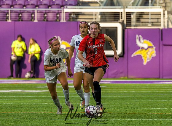Centennial vs Rosemount Gilrs Soccer Semifinal Game 324