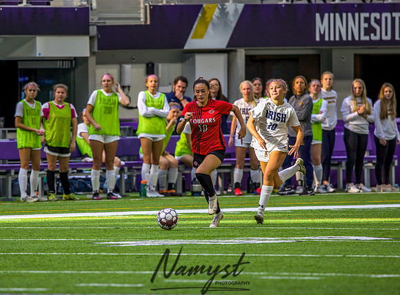 Centennial vs Rosemount Gilrs Soccer Semifinal Game 338