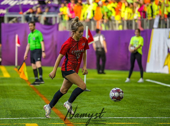 Centennial vs Rosemount Gilrs Soccer Semifinal Game 393