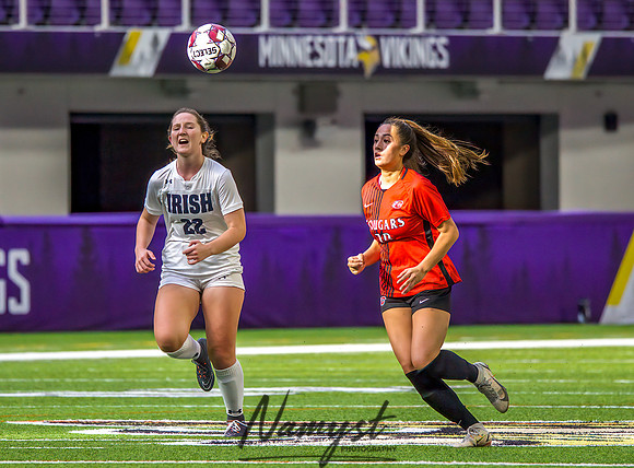 Centennial vs Rosemount Gilrs Soccer Semifinal Game 432
