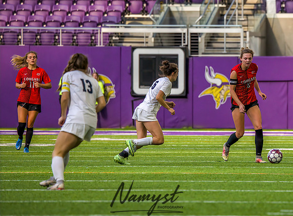 Centennial vs Rosemount Gilrs Soccer Semifinal Game 440