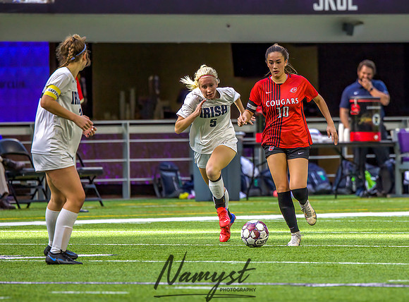 Centennial vs Rosemount Gilrs Soccer Semifinal Game 446