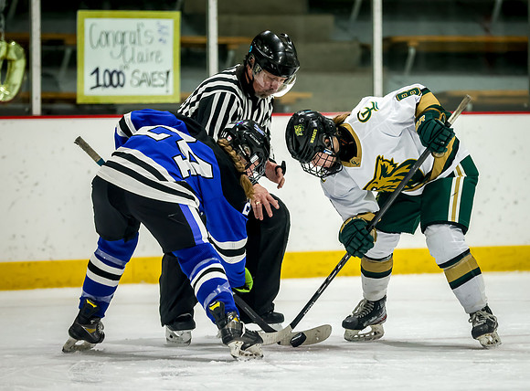 Chisago vs Rogers Varsity Hockey 390