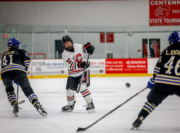 Centennial vs Holy Angels JV Hockey 113